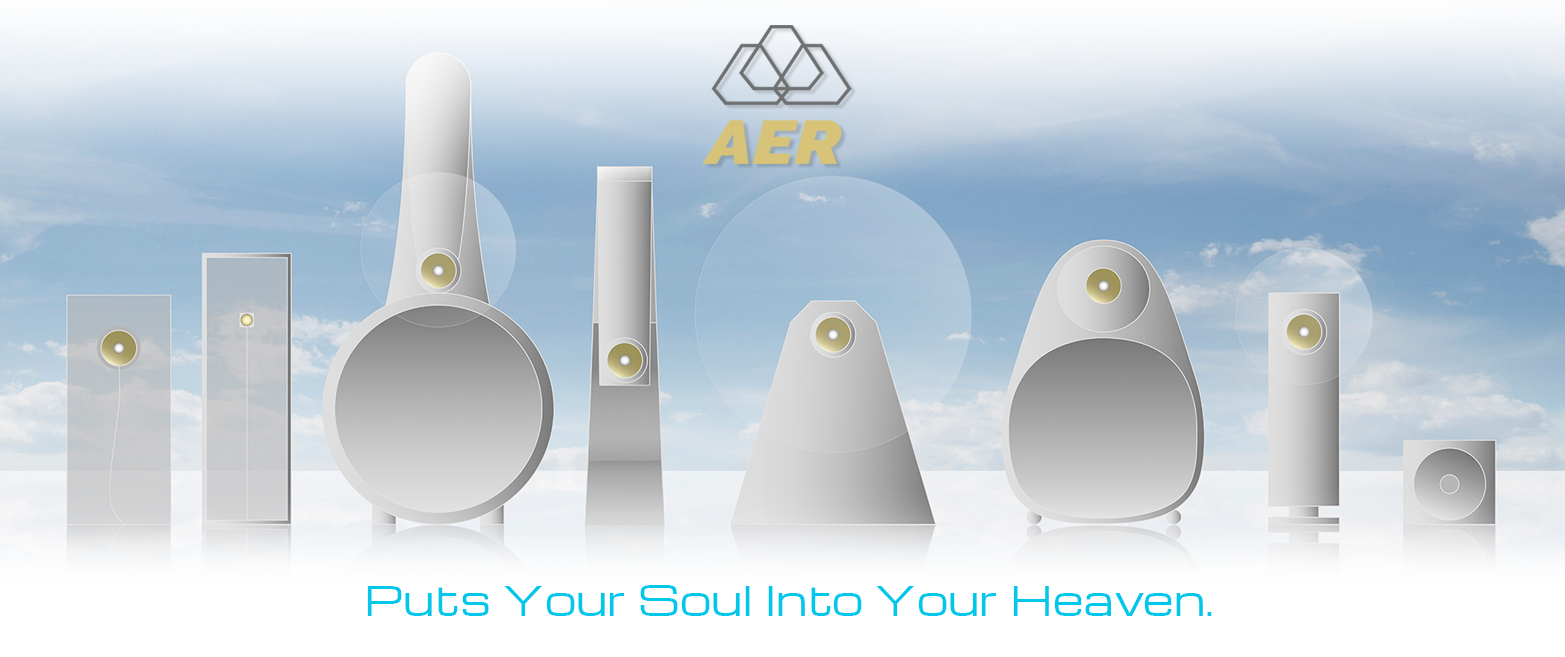 Procuct Overview of AER
